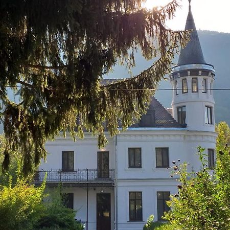 Vila Micul Castel Sinaia Zewnętrze zdjęcie