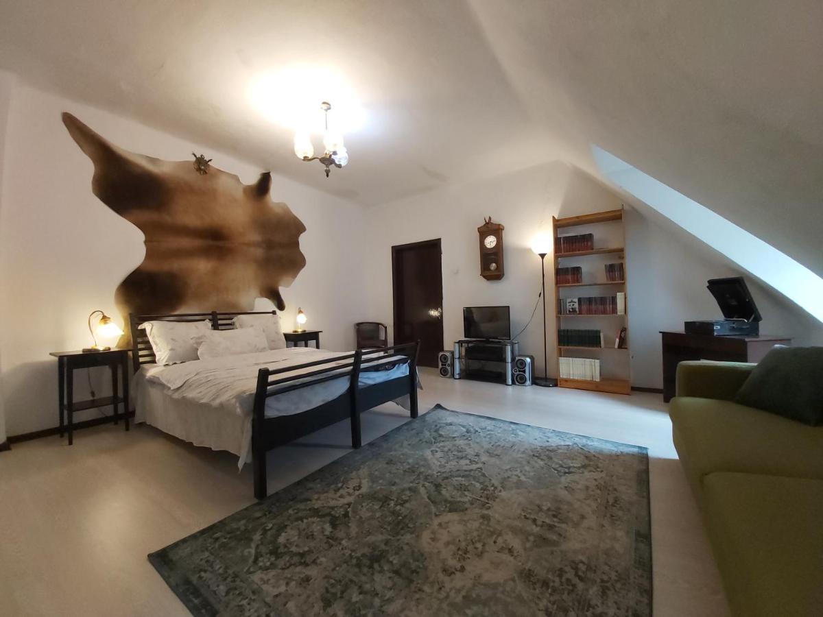 Vila Micul Castel Sinaia Zewnętrze zdjęcie