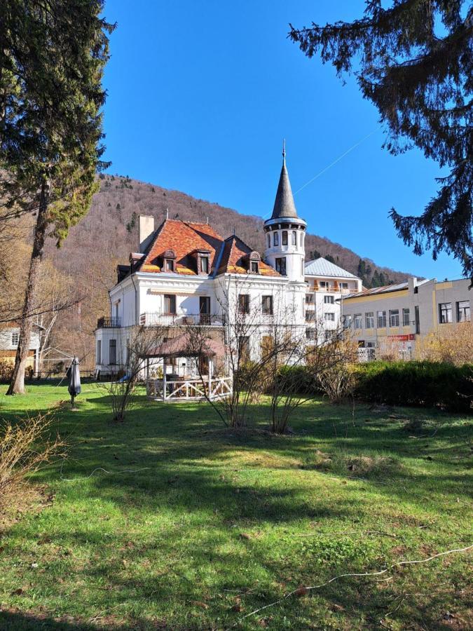 Vila Micul Castel Sinaia Zewnętrze zdjęcie