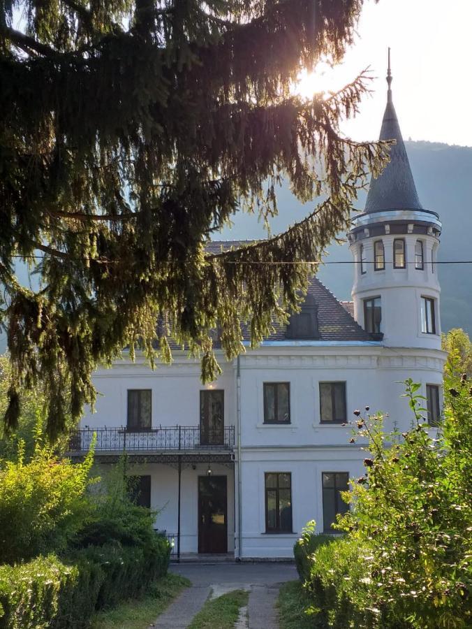 Vila Micul Castel Sinaia Zewnętrze zdjęcie